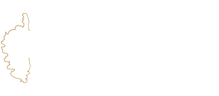 Logo Acasadisole blanc